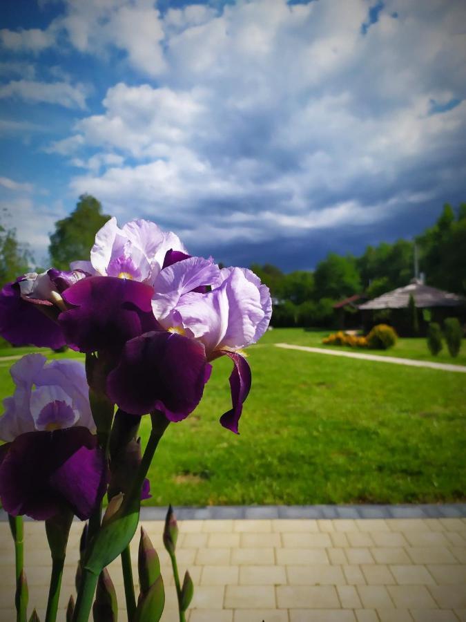 Osrodek Wczasowy "Wczasy Pod Grusza" Hotel Biecz Bagian luar foto